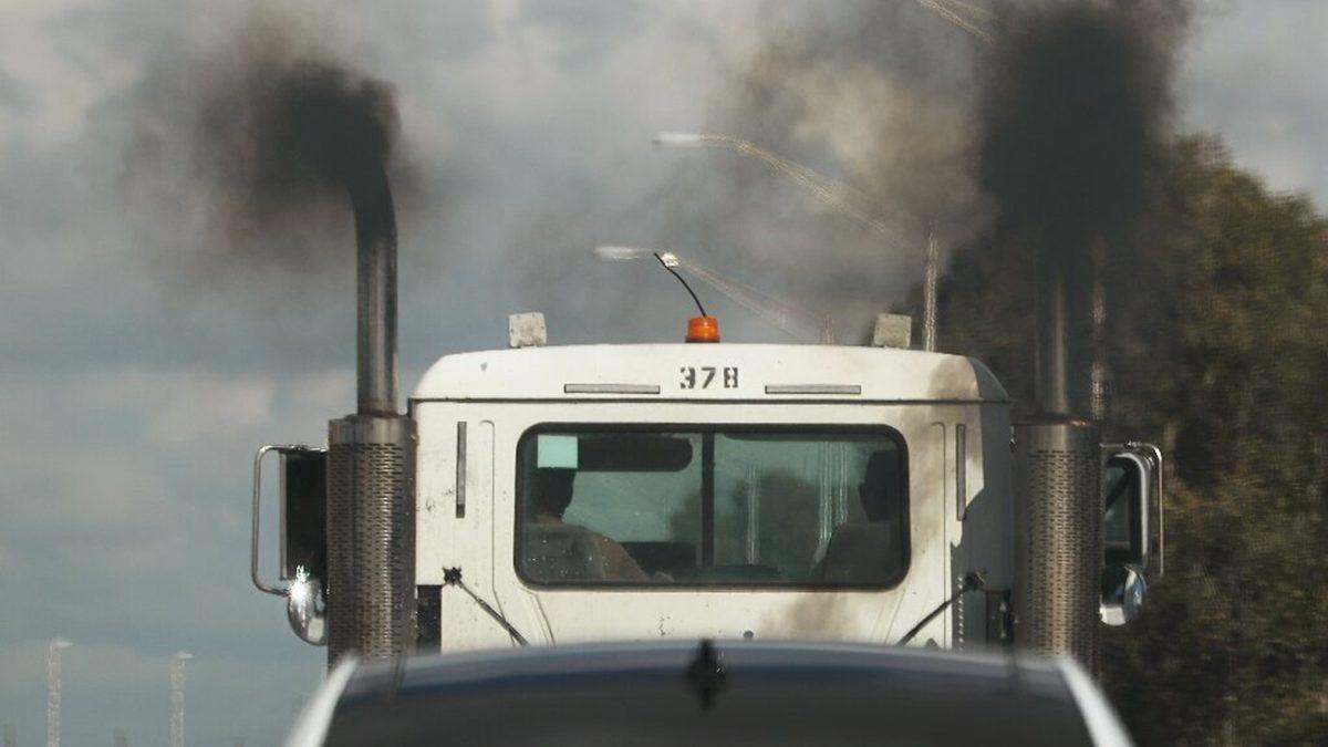 Eğer Şu An 18 Yaşından Büyükseniz IQ Seviyeniz Olması Gerekenden Daha Düşük! Nedenini Açıklıyoruz