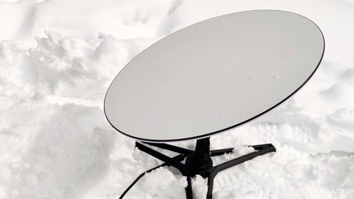 Sokak Kedileri, SpaceX’in Starlink Antenlerine Musallat Oldu: İşte Kedilere Fazlasıyla Hak Vereceğiniz Nedeni