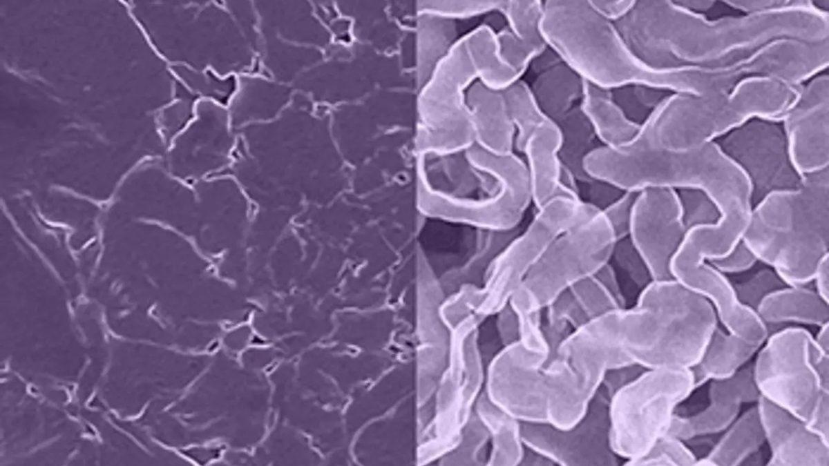 Hem Hızlı Hem de Çevreye Daha Az Zarar Veren Yeni Bir Pil Teknolojisi Geliştirildi