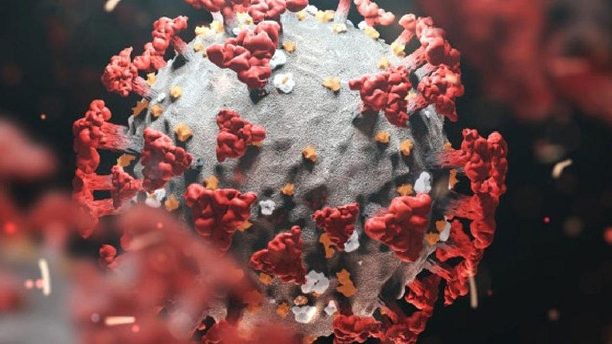 Omicron Varyantıyla İlgili Endişelendiren Uyarı: Hala Öldürüyor
