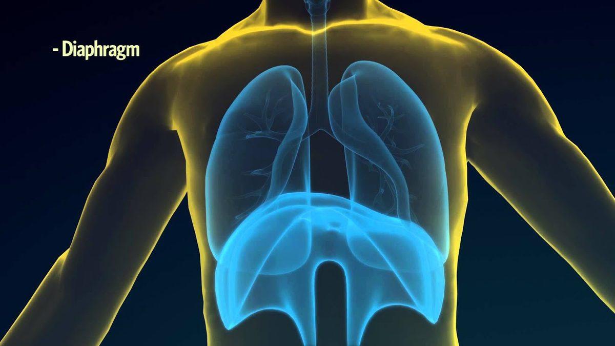 Bir Başladığında Durmak Bilmeyen Hıçkırığın Sebepleri Nedir, Nasıl Geçer?