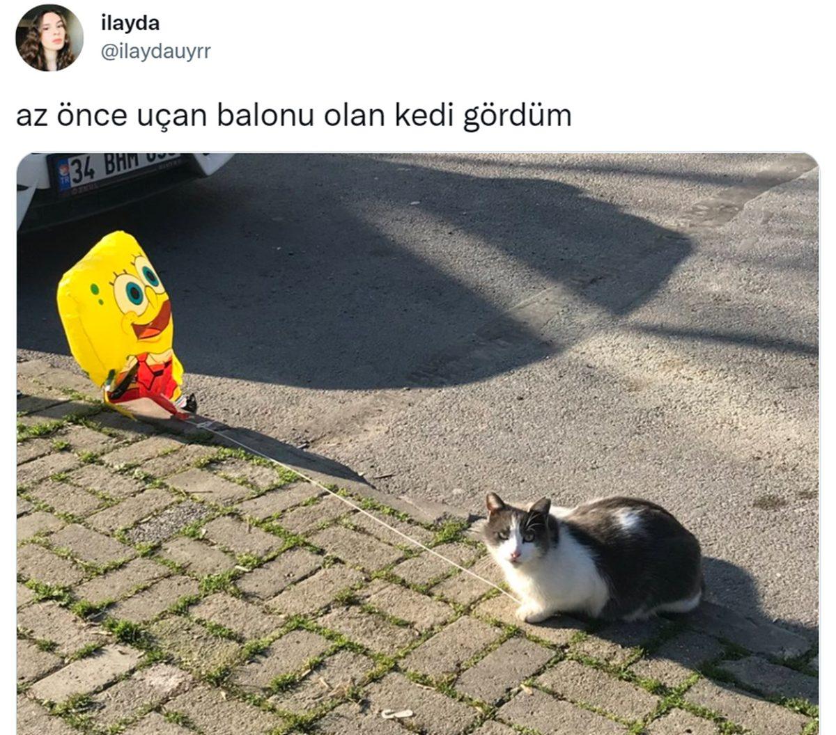 Can Sıkıntınızı Bertaraf Edip Sizi Kahkahalara Boğacak Aşırı Eğlenceli 34 Tweet