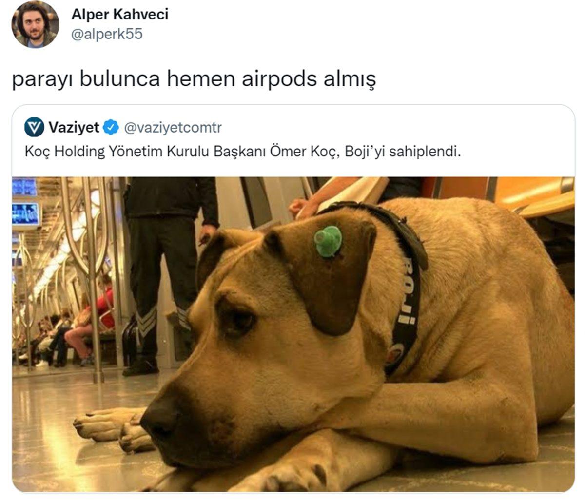 Can Sıkıntınızı Bertaraf Edip Sizi Kahkahalara Boğacak Aşırı Eğlenceli 34 Tweet