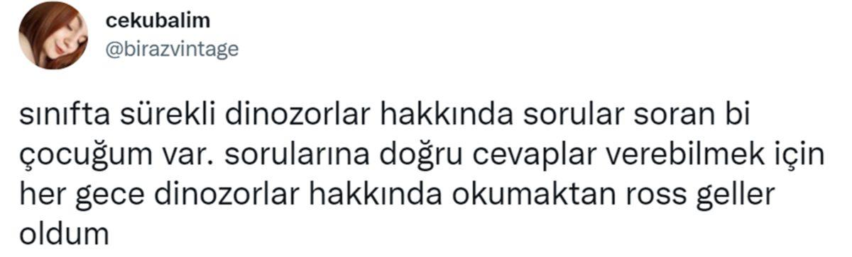 Can Sıkıntınızı Bertaraf Edip Sizi Kahkahalara Boğacak Aşırı Eğlenceli 34 Tweet