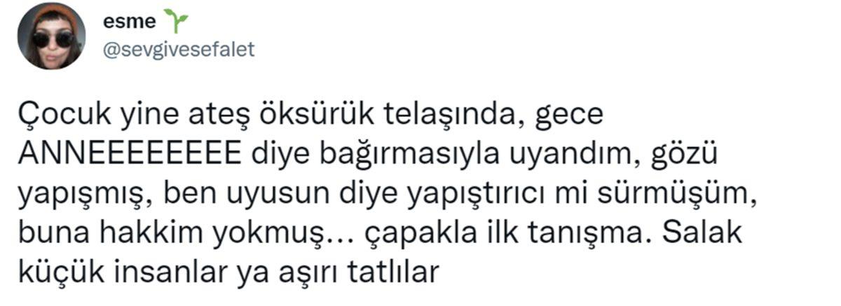 Can Sıkıntınızı Bertaraf Edip Sizi Kahkahalara Boğacak Aşırı Eğlenceli 34 Tweet