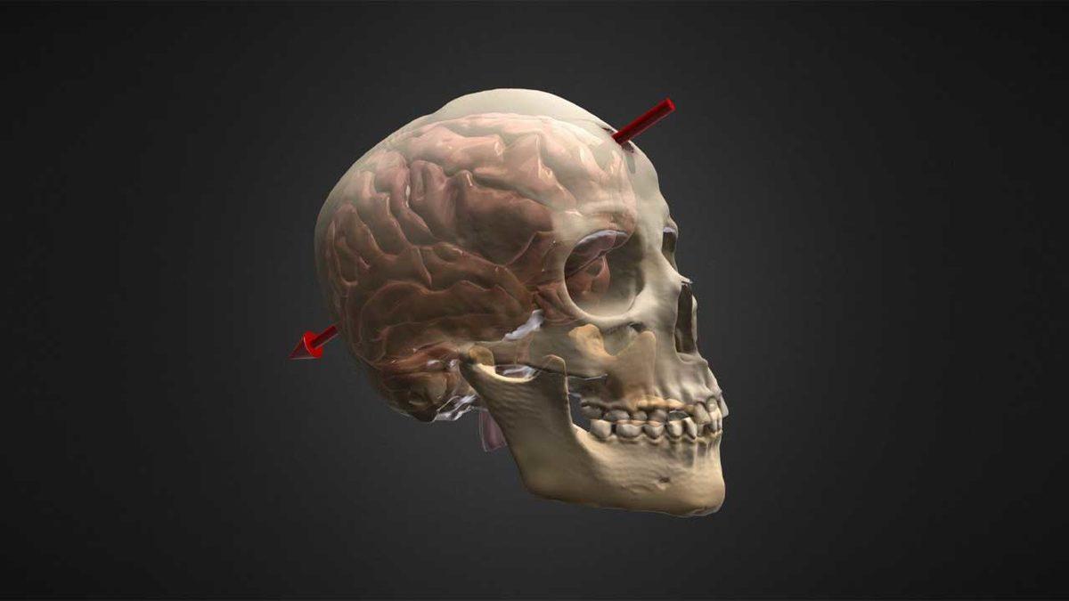Bazı İnsanlar, Tam Kafalarından Vurulsalar Bile Nasıl Hayatta Kalıyorlar?