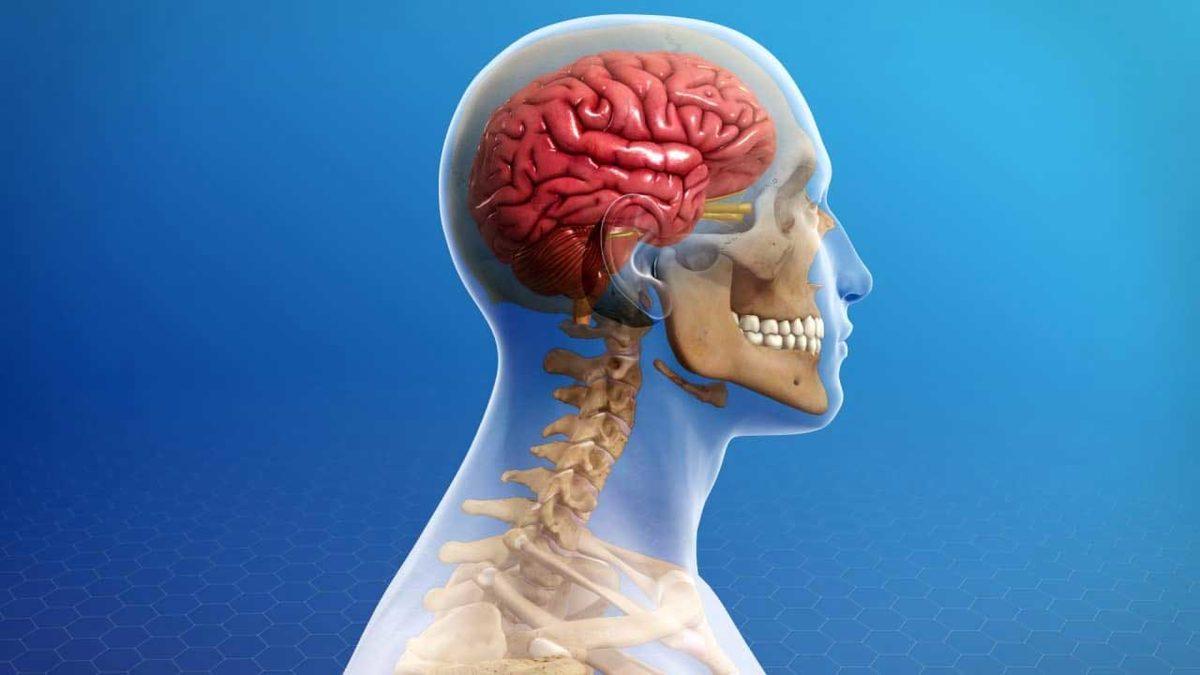 Bazı İnsanlar, Tam Kafalarından Vurulsalar Bile Nasıl Hayatta Kalıyorlar?