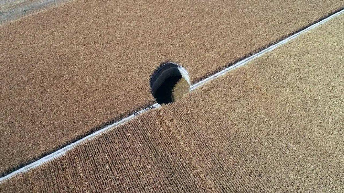 Tuz Gölü’nde Ölen Binlerce Flamingo Hakkında Konya Valiliği’nden Açıklama Geldi