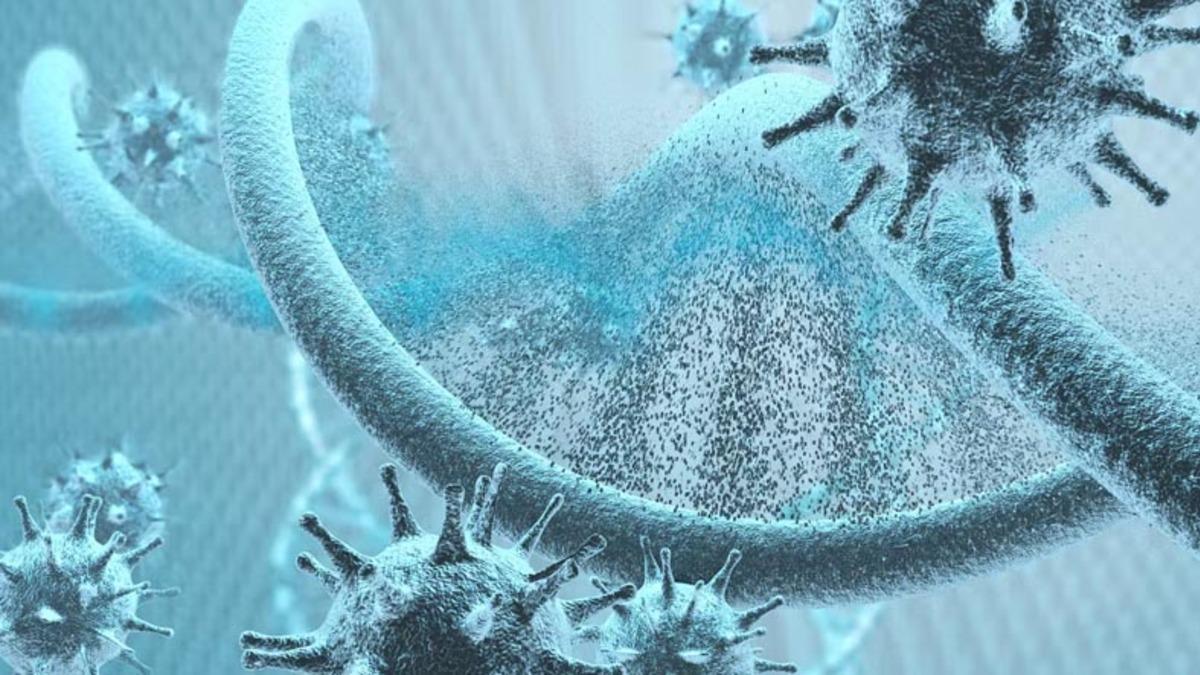 Bazı İnsanların COVID-19’u Nasıl ‘Hiç Hasta Olmamış Gibi’ Hafif Atlattığı Açıklandı