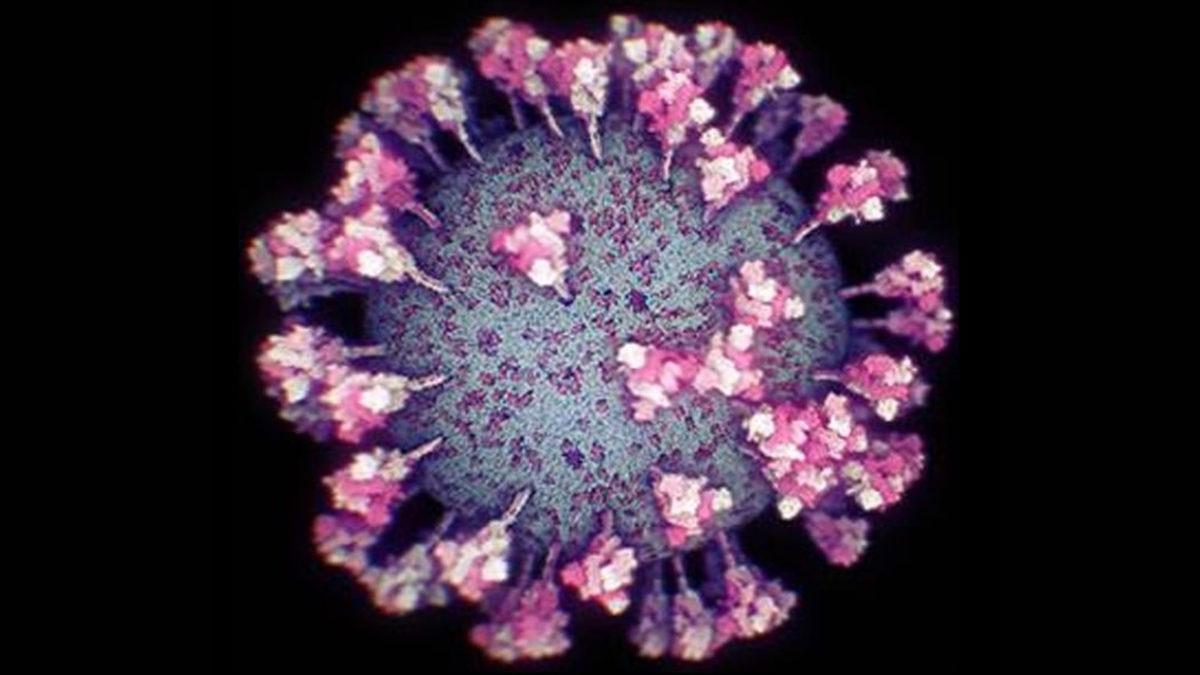 Koronavirüsün Şimdiye Kadarki En Gerçekçi Görüntüsü Elde Edildi