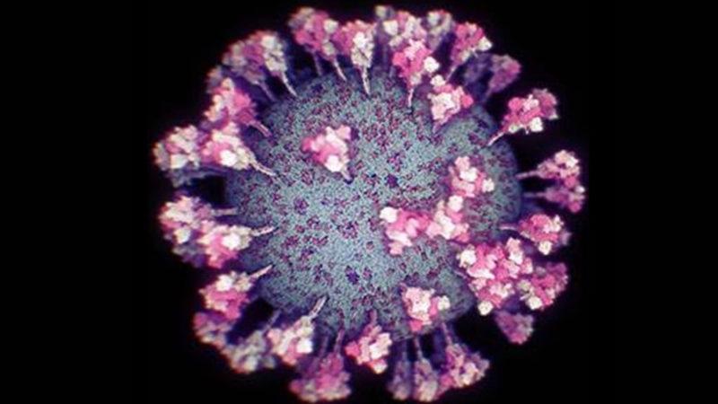 Koronavirüsün Şimdiye Kadarki En Gerçekçi Görüntüsü Elde Edildi
