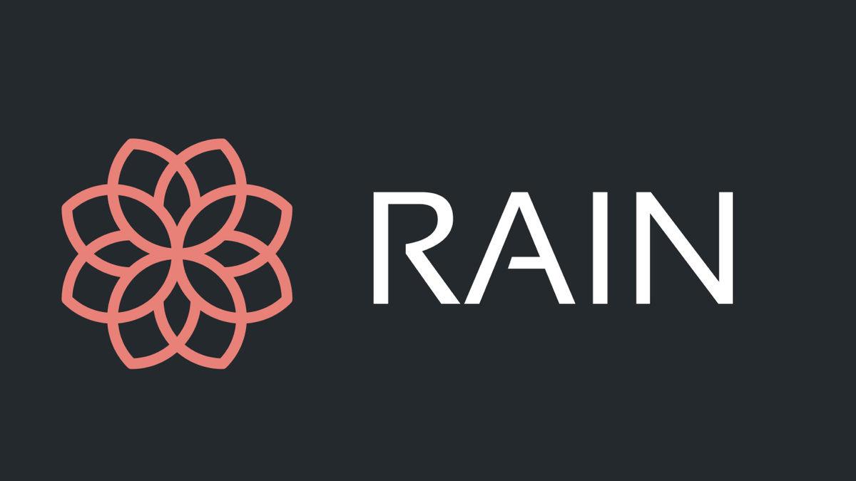 Kripto Para Borsası Rain, 110 Milyon Dolar Yatırım Topladı