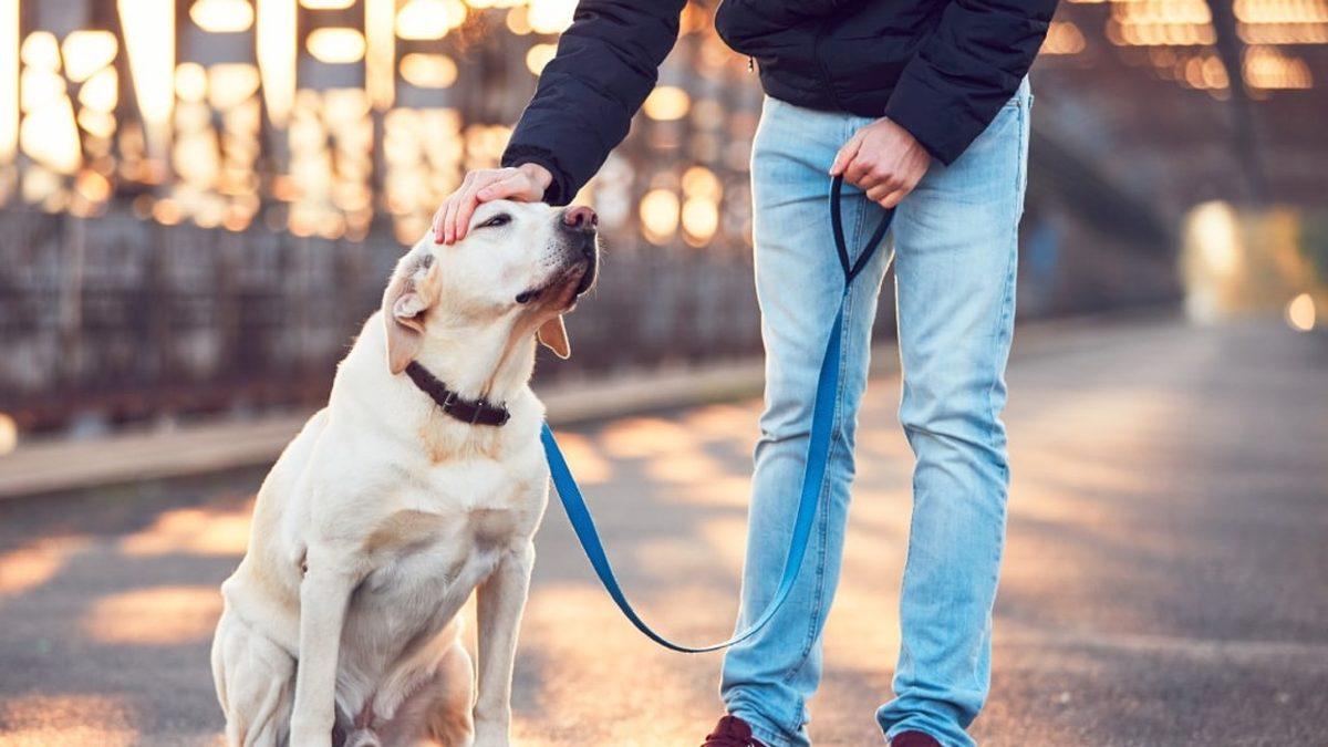 Yabancı Ülkelerde Uygulanan Birbirinden Garip 15 Yasak: Hangisine Şaşıracağımızı Şaşırdık!
