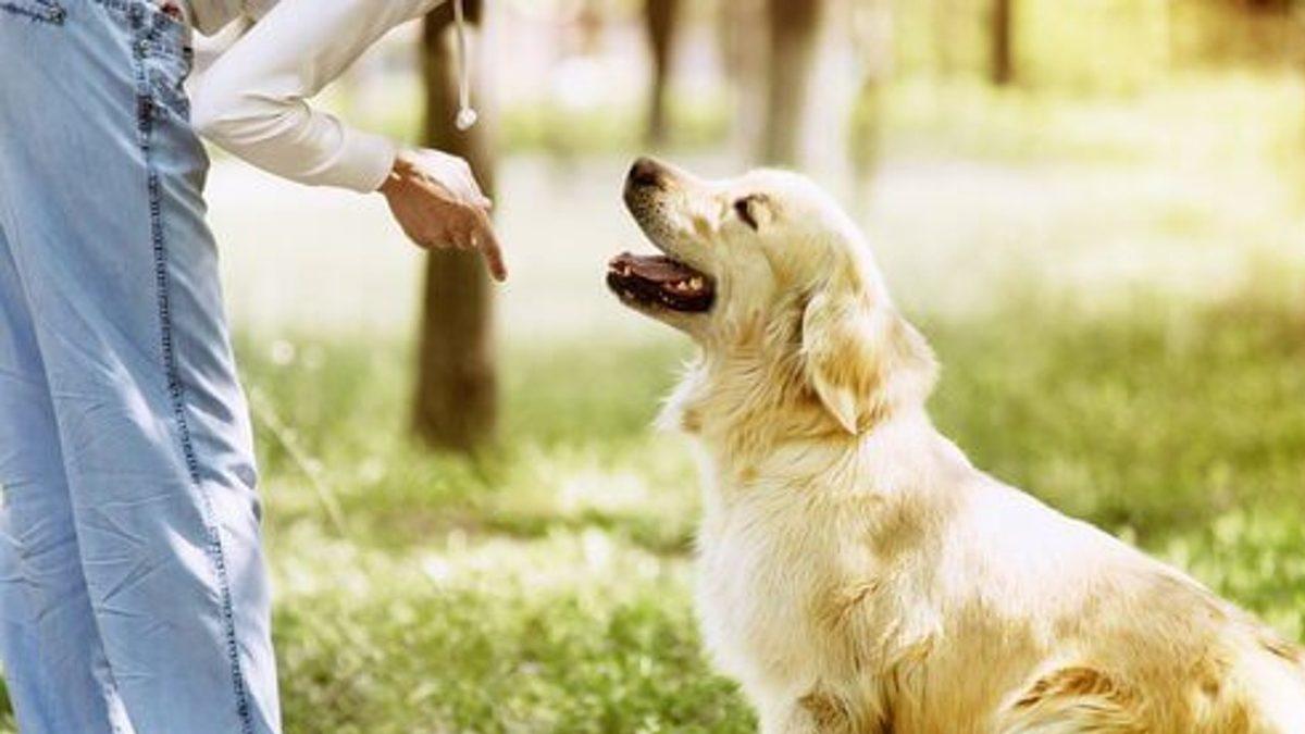 Yabancı Ülkelerde Uygulanan Birbirinden Garip 15 Yasak: Hangisine Şaşıracağımızı Şaşırdık!