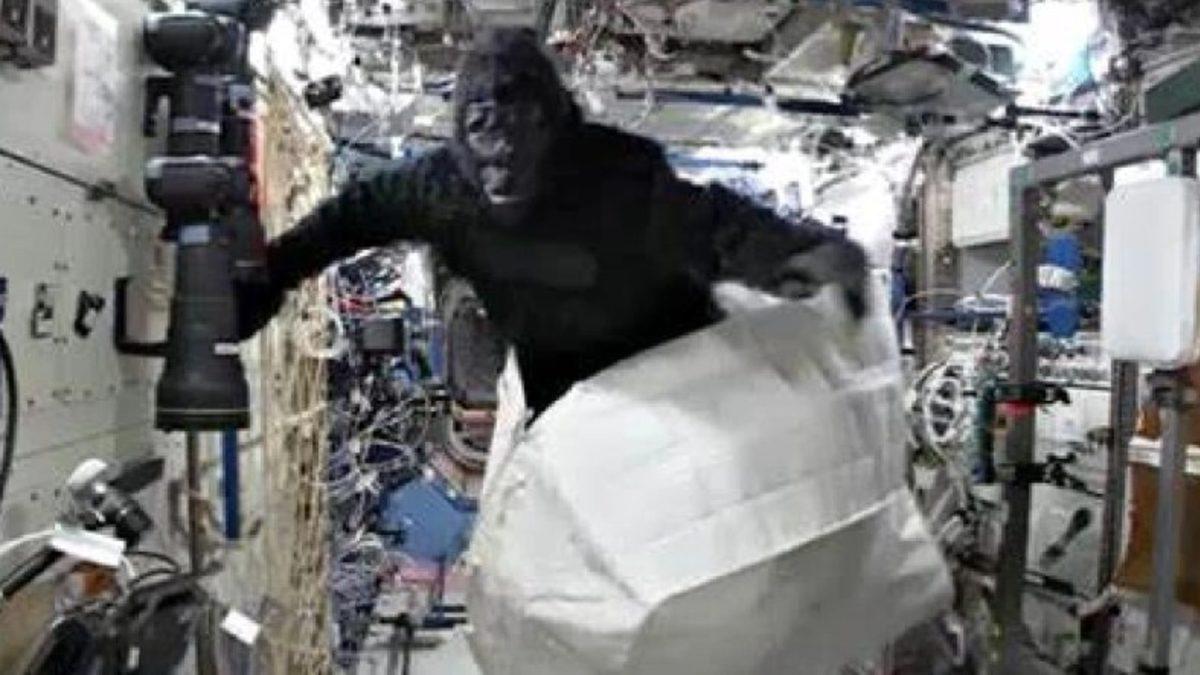 Uluslararası Uzay İstasyonu’nda Goril Kostümü Giyerek ’Korku Salan’ Astronot, Olayın Perde Arkasını Anlattı