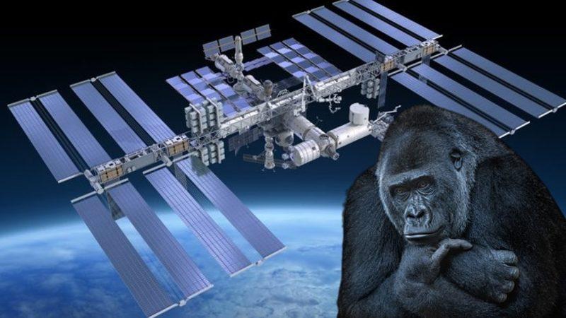 Uluslararası Uzay İstasyonu’nda Goril Kostümü Giyerek ’Korku Salan’ Astronot, Olayın Perde Arkasını Anlattı