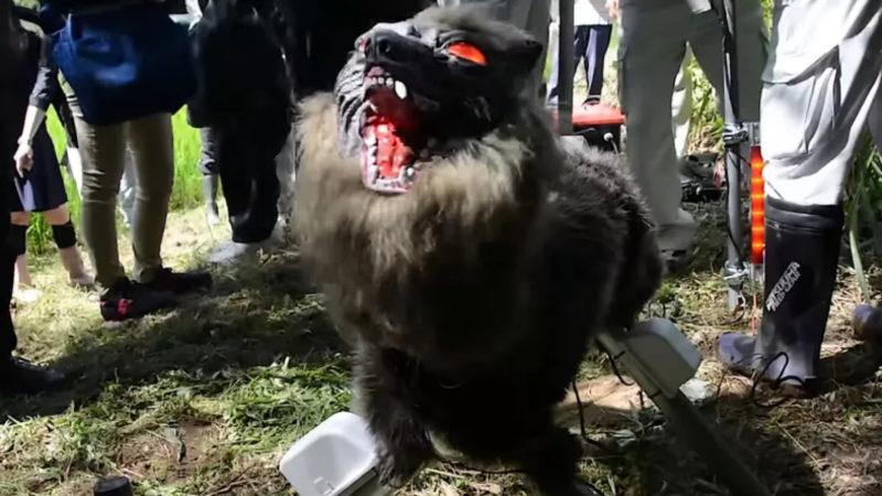 Japonya’da Vahşi Hayvanlara Karşı Robot Kurtlar Kullanılmaya Başlandı