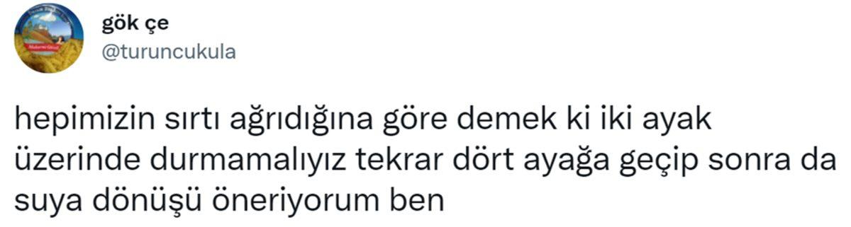 Can Sıkıntınızı Bertaraf Edip Sizi Kahkahalara Boğacak Aşırı Eğlenceli 31 Tweet