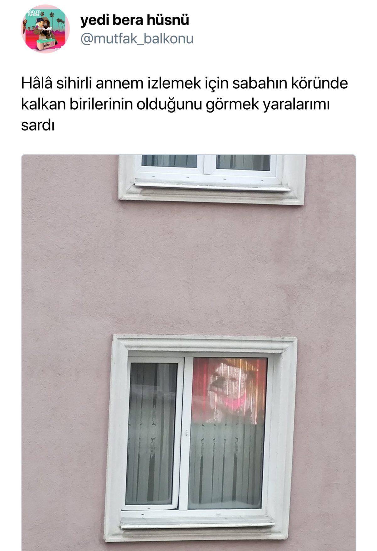 Can Sıkıntınızı Bertaraf Edip Sizi Kahkahalara Boğacak Aşırı Eğlenceli 31 Tweet