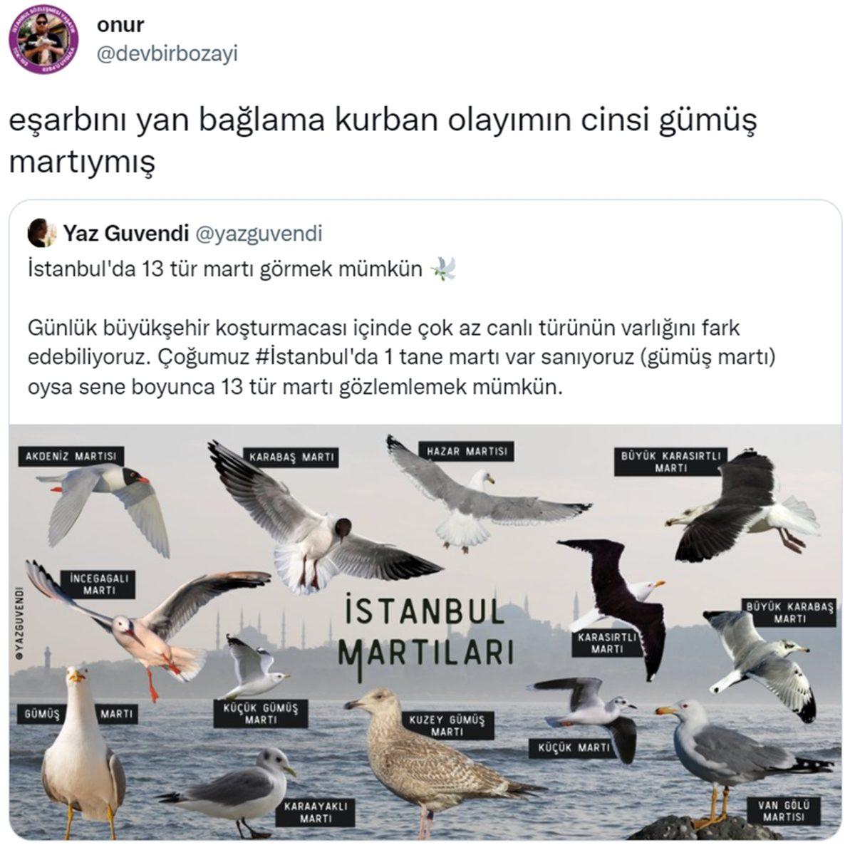 Can Sıkıntınızı Bertaraf Edip Sizi Kahkahalara Boğacak Aşırı Eğlenceli 31 Tweet