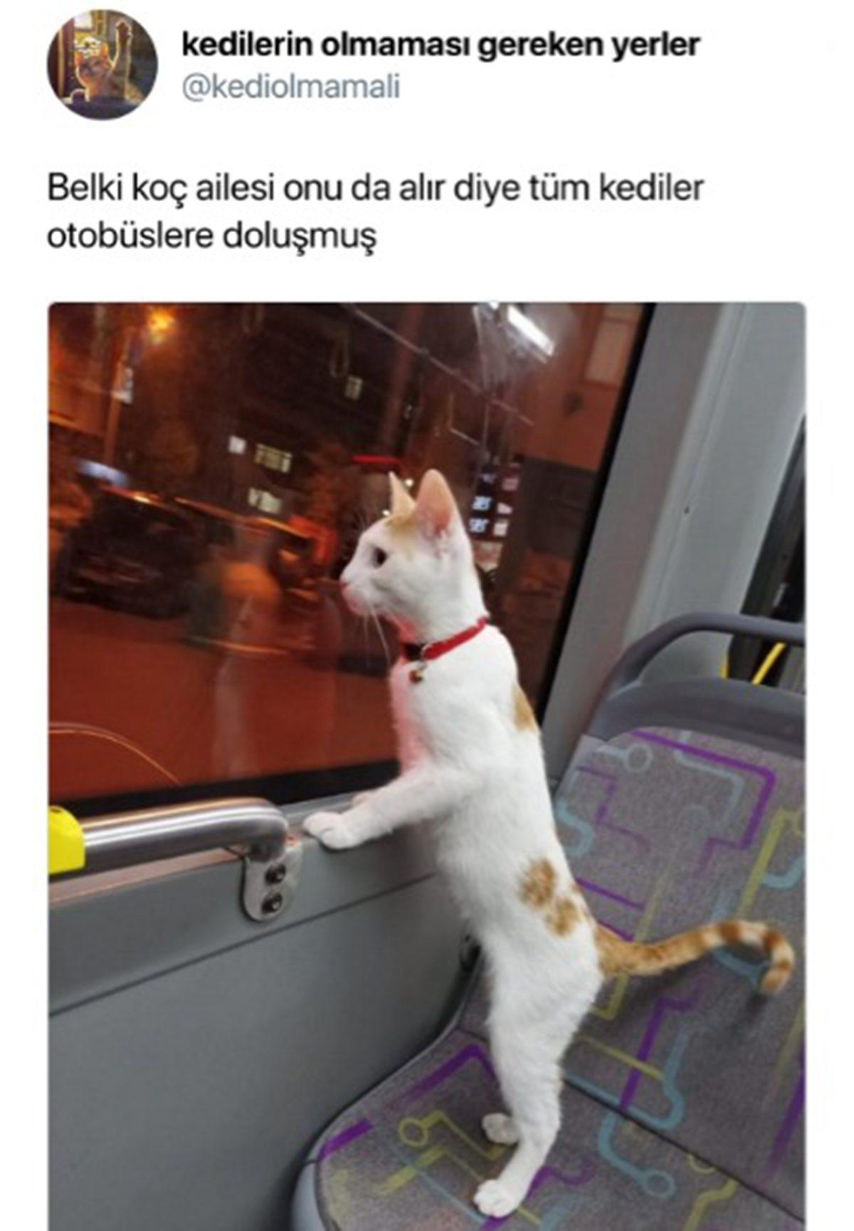 Can Sıkıntınızı Bertaraf Edip Sizi Kahkahalara Boğacak Aşırı Eğlenceli 31 Tweet