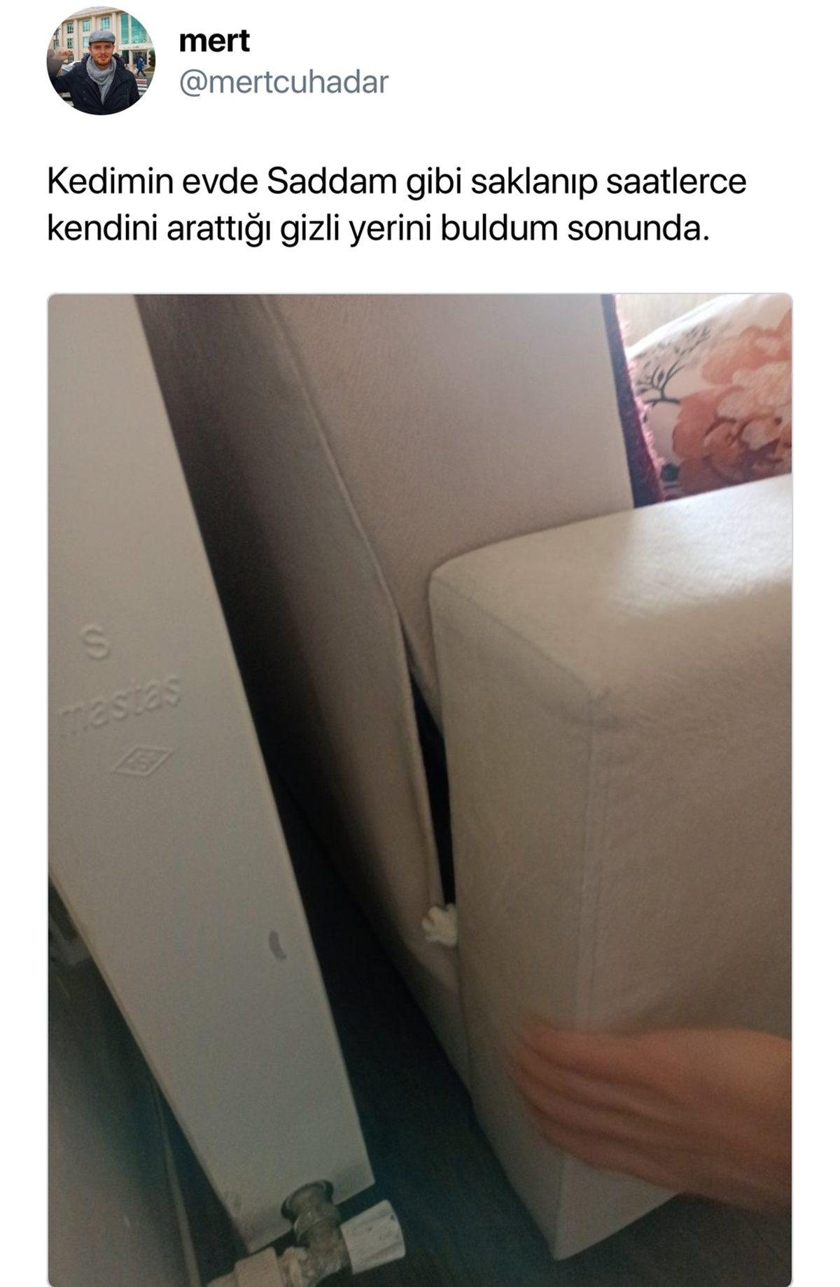 Can Sıkıntınızı Bertaraf Edip Sizi Kahkahalara Boğacak Aşırı Eğlenceli 31 Tweet