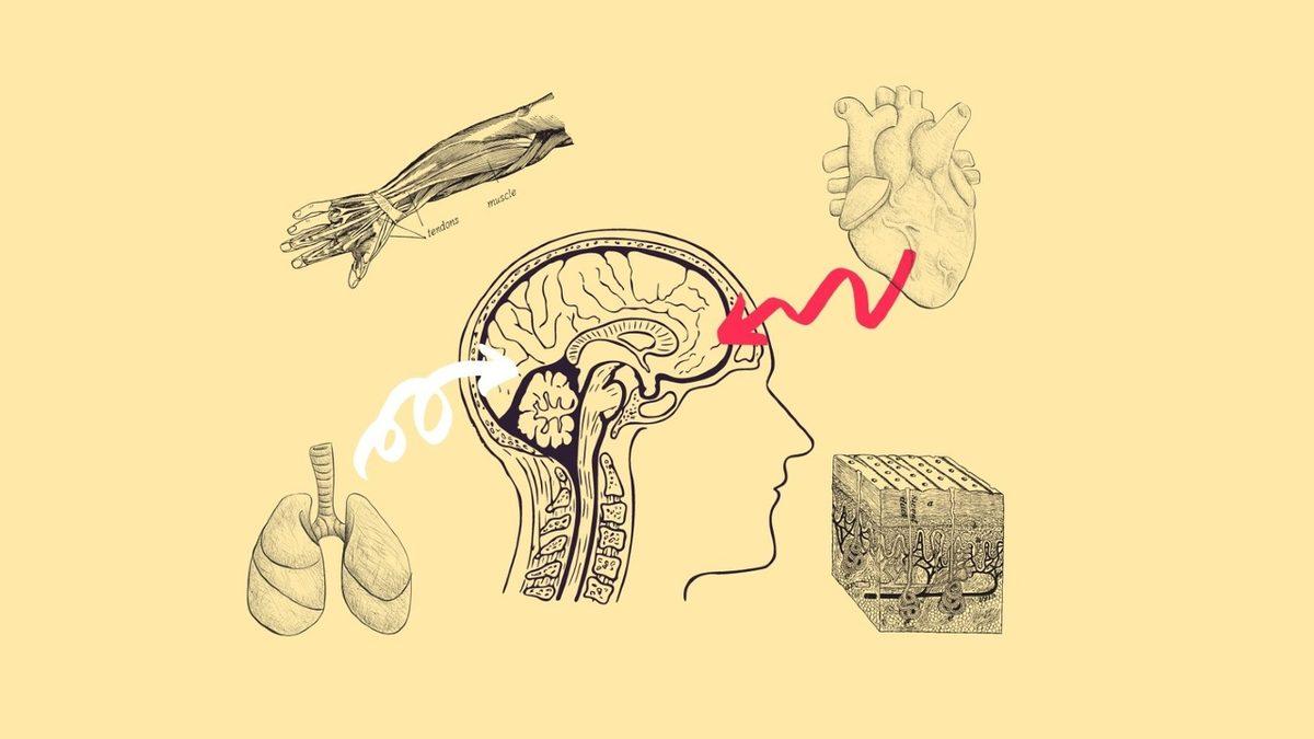 Gerçek ’Altıncı Hissin’ Kadınlarda ve Erkeklerde Farklı Olabileceği Keşfedildi: Zihinsel Sağlık Üzerinde Ciddi Etkileri Olabilir