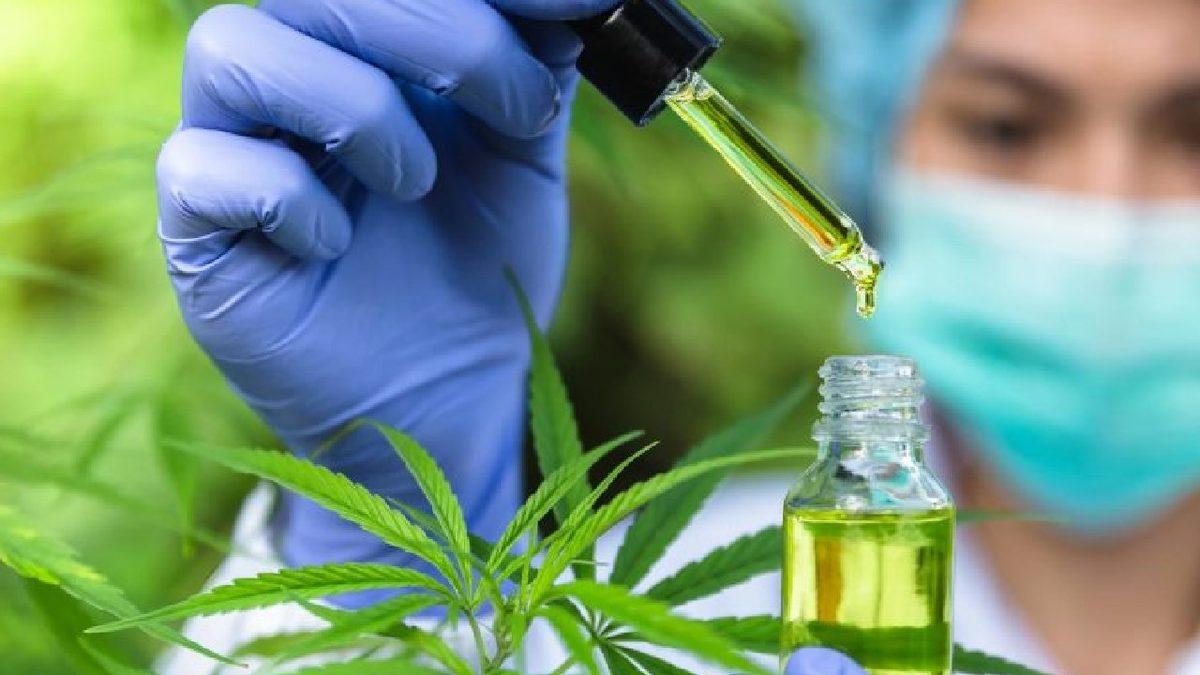 Kenevirden Üretilen CBD’nin, COVID-19 Virüsünün Çoğalmasını Engellediği Ortaya Çıktı