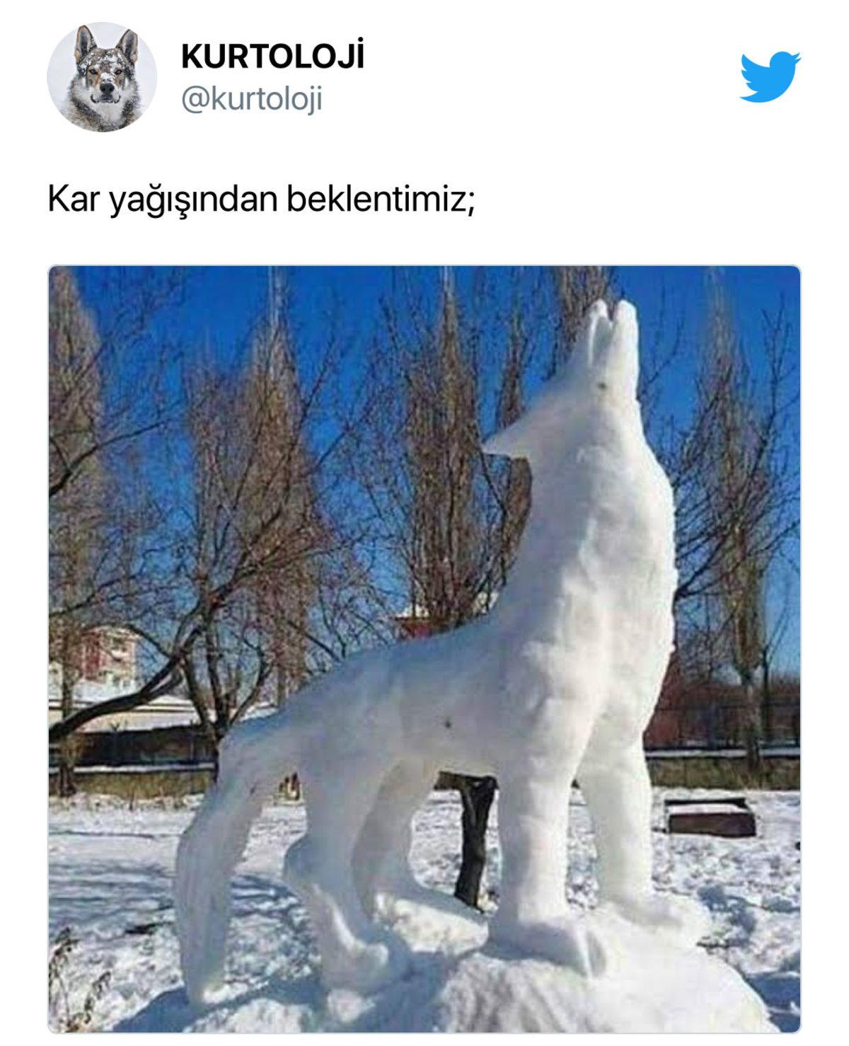 Türkiye Son Yılların En Soğuk ve Karlı Kışına Teslim Oldu: İşte Kar Yağışının Sosyal Medyaya Yansımaları