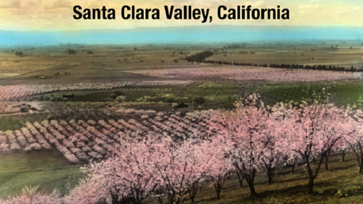 Kimin Aklına Geldi ’Silikon Vadisi’ Diye Bir Yer Kurmak? İşte At Arabalarından İnternet Çağına Geçişin Kısa Tarihi