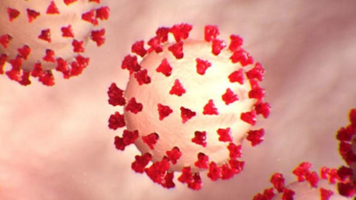 COVID-19’un Daha Eylül 2019’da Avrupa’ya Sıçradığı Ortaya Çıktı