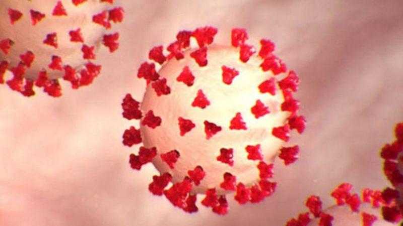 COVID-19’un Daha Eylül 2019’da Avrupa’ya Sıçradığı Ortaya Çıktı