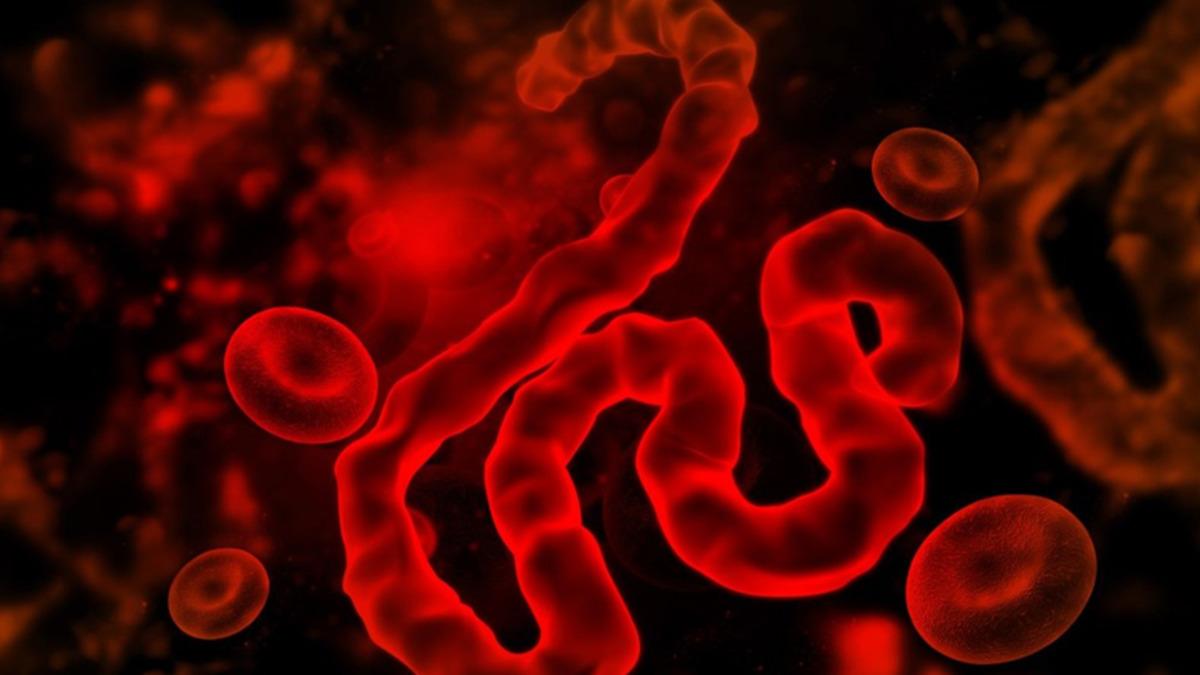 Bolivya’da İnsandan İnsana Bulaşan Ölümcül Bir Virüs Türü Keşfedildi