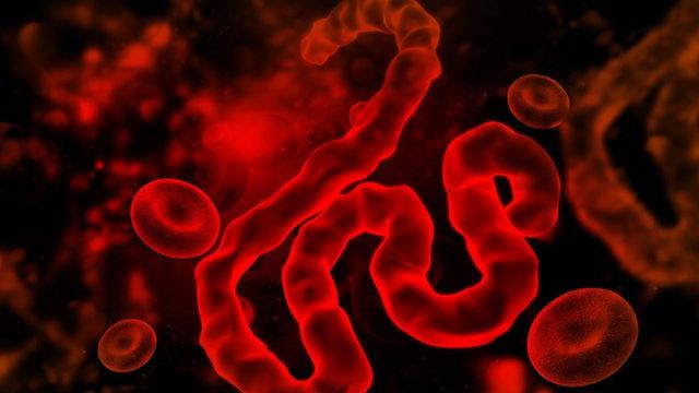 Bolivya’da İnsandan İnsana Bulaşan Ölümcül Bir Virüs Türü Keşfedildi