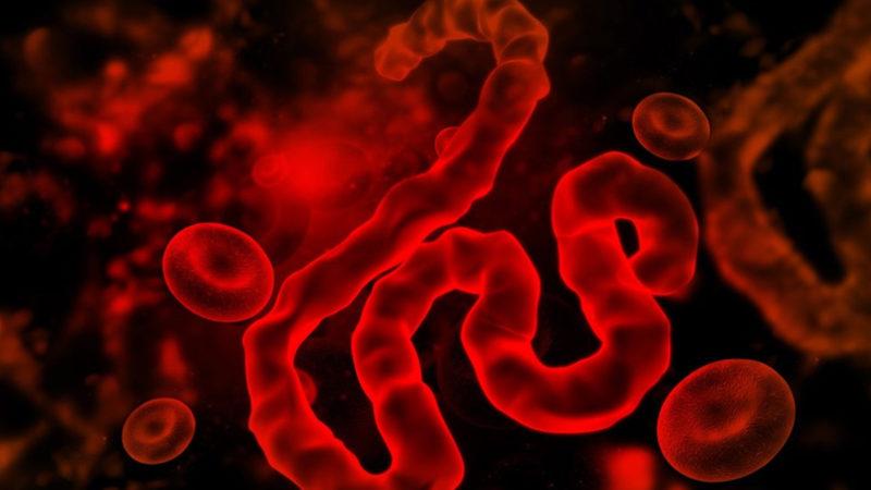 Bolivya’da İnsandan İnsana Bulaşan Ölümcül Bir Virüs Türü Keşfedildi