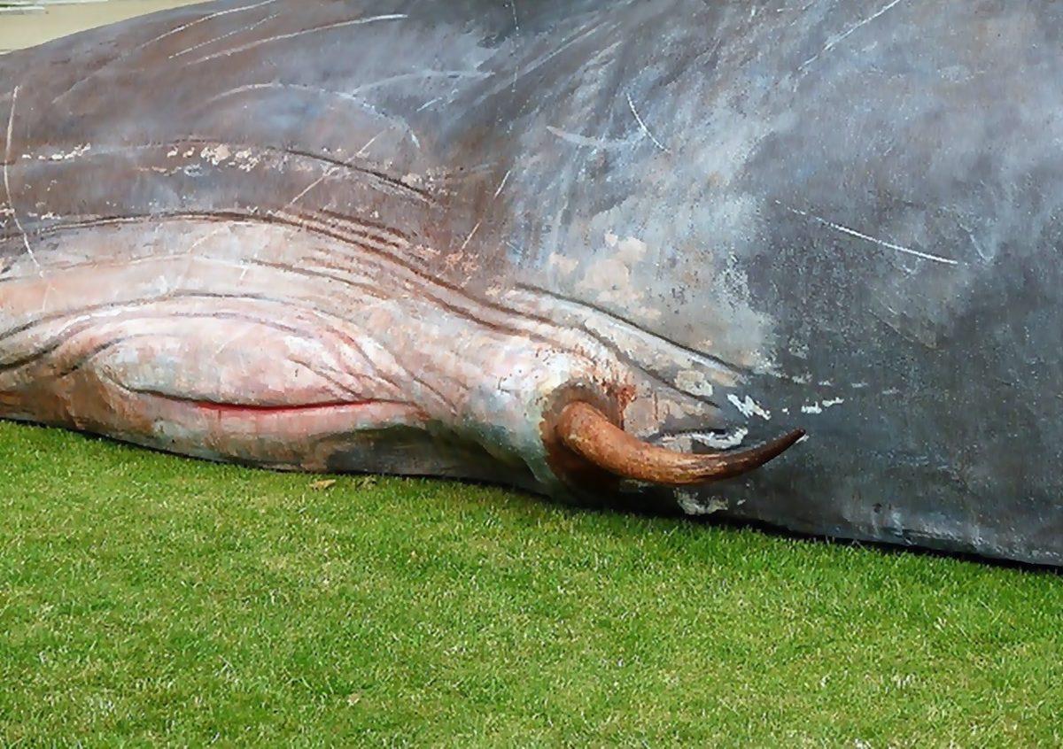 Gördüğünüz An Ekrana Uzun Uzun Bakmanıza Neden Olacak 25 Sıra Dışı Görüntü