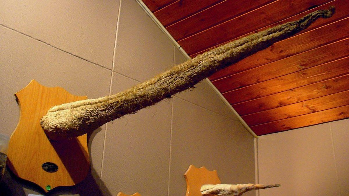 Gördüğünüz An Ekrana Uzun Uzun Bakmanıza Neden Olacak 25 Sıra Dışı Görüntü