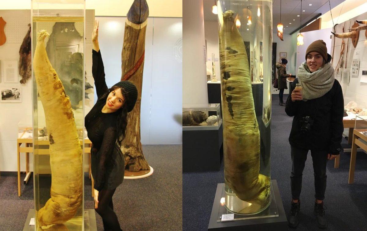 Gördüğünüz An Ekrana Uzun Uzun Bakmanıza Neden Olacak 25 Sıra Dışı Görüntü