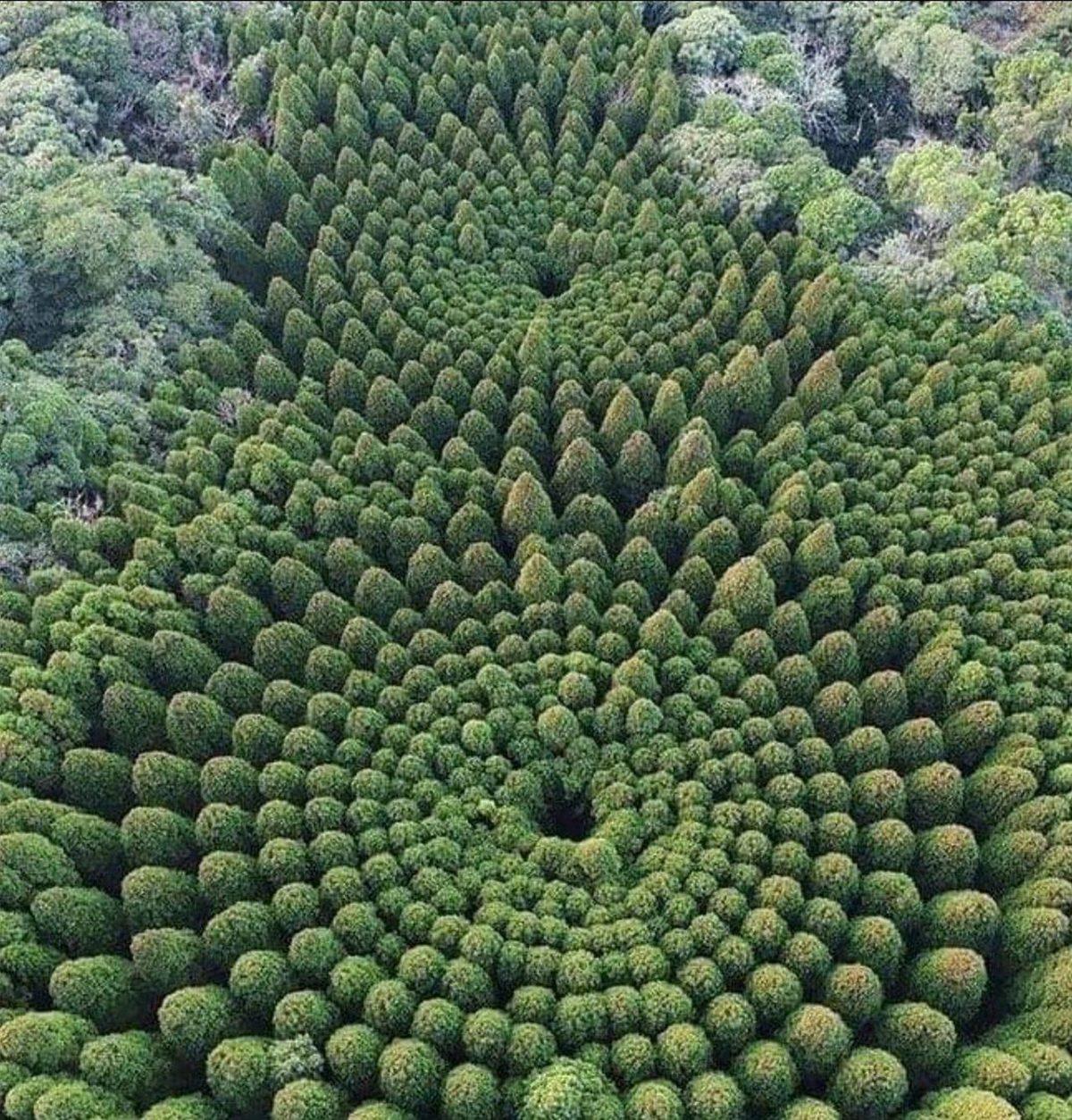 Gördüğünüz An Ekrana Uzun Uzun Bakmanıza Neden Olacak 25 Sıra Dışı Görüntü