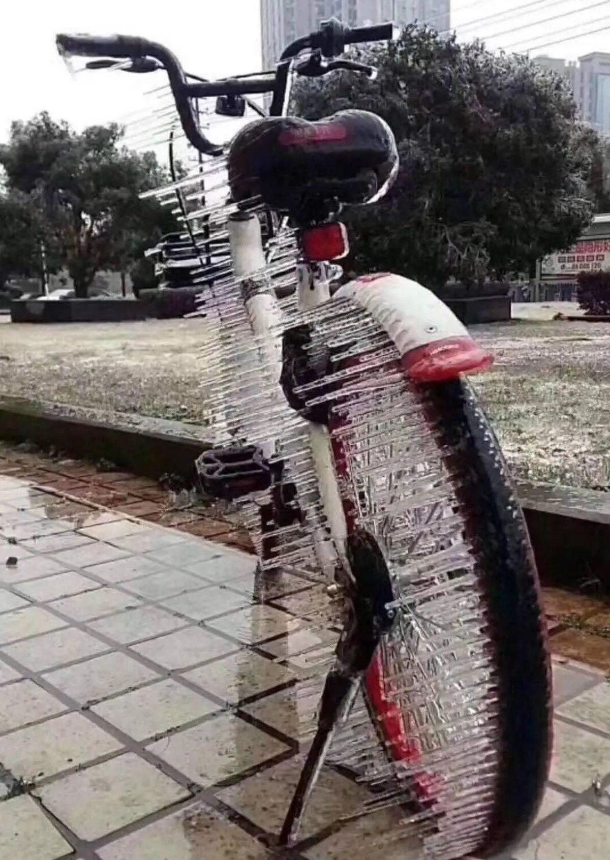 Gördüğünüz An Ekrana Uzun Uzun Bakmanıza Neden Olacak 25 Sıra Dışı Görüntü