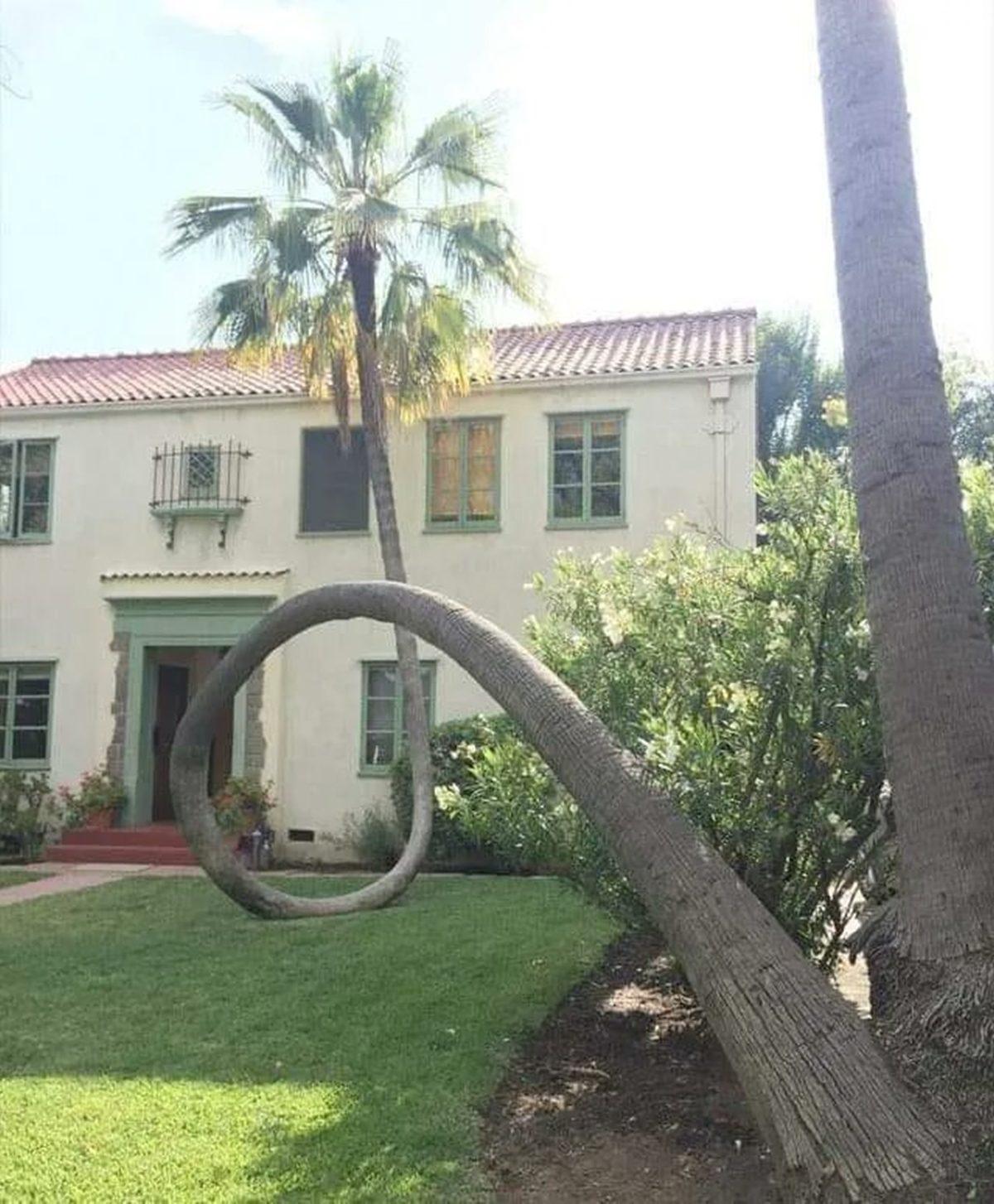 Gördüğünüz An Ekrana Uzun Uzun Bakmanıza Neden Olacak 25 Sıra Dışı Görüntü