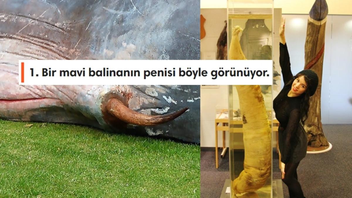 Gördüğünüz An Ekrana Uzun Uzun Bakmanıza Neden Olacak 25 Sıra Dışı Görüntü
