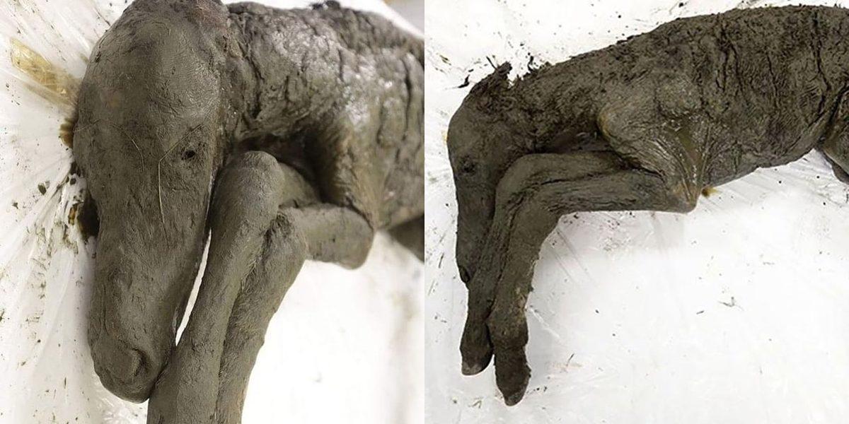 Gerçek Olduğuna İnanmakta Güçlük Çekeceğiniz 25 Sıra Dışı Görüntü