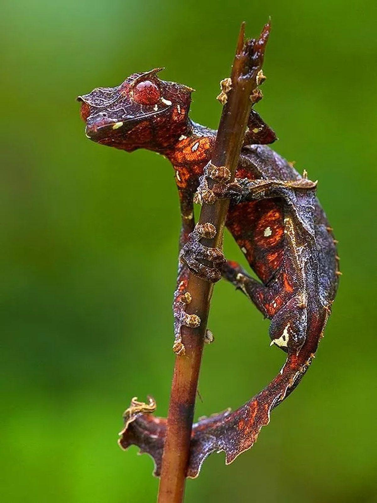 Gerçek Olduğuna İnanmakta Güçlük Çekeceğiniz 25 Sıra Dışı Görüntü