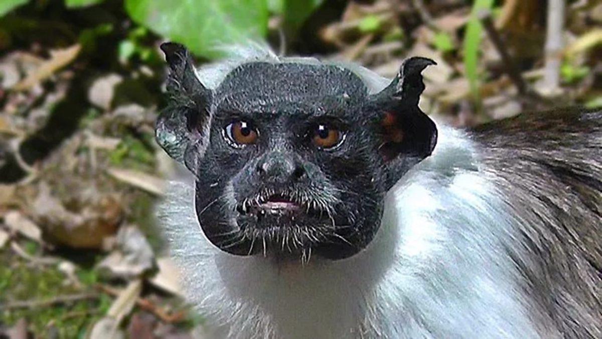 Gerçek Olduğuna İnanmakta Güçlük Çekeceğiniz 25 Sıra Dışı Görüntü