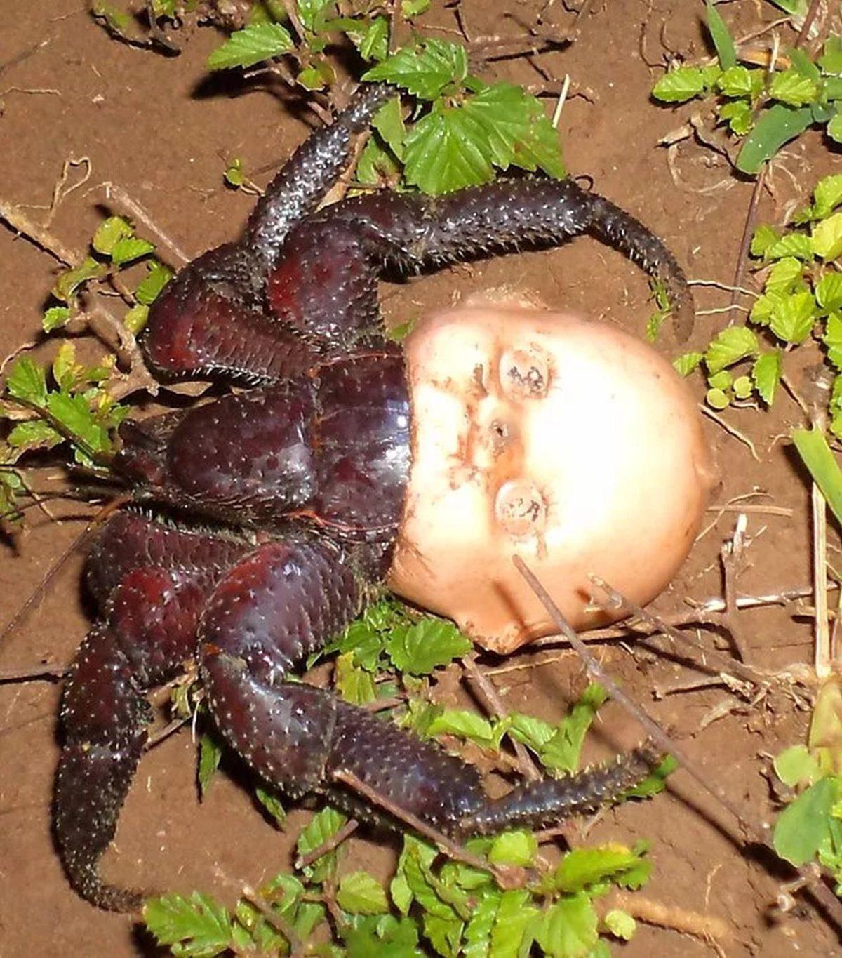 Gerçek Olduğuna İnanmakta Güçlük Çekeceğiniz 25 Sıra Dışı Görüntü