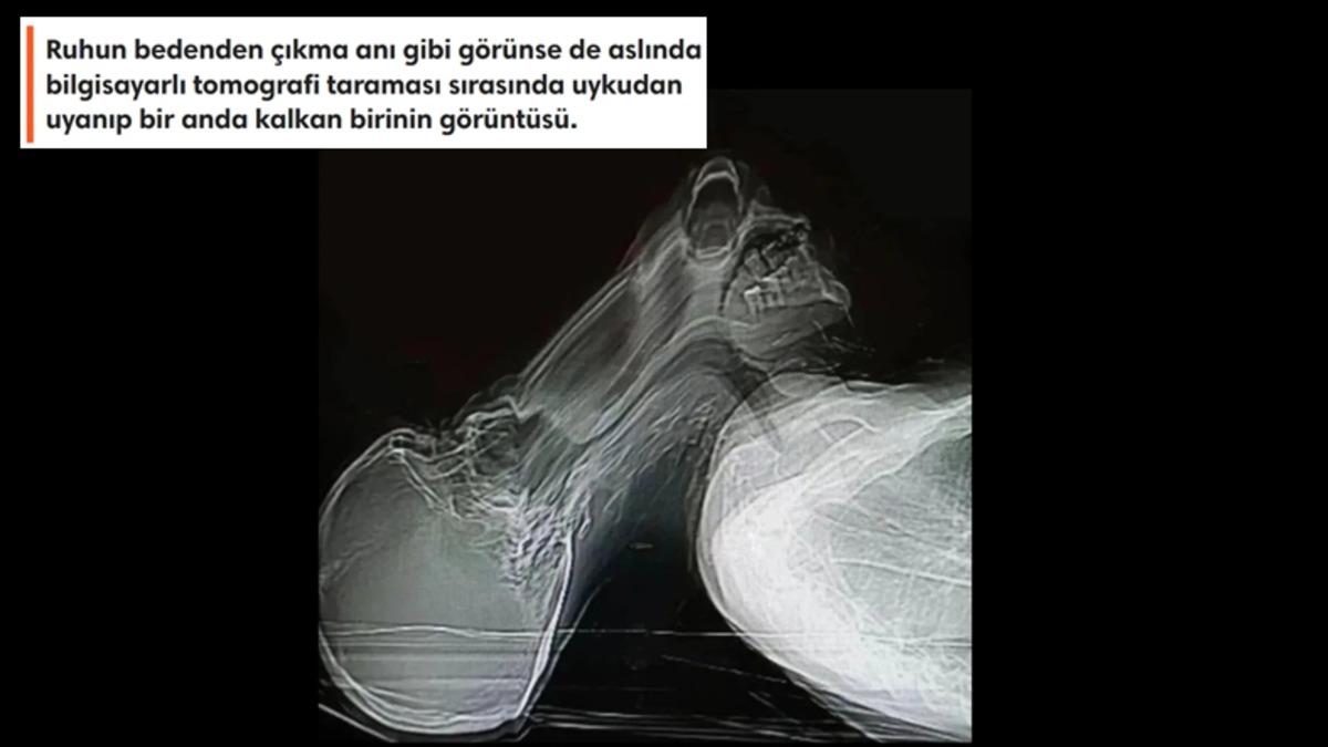 Gerçek Olduğuna İnanmakta Güçlük Çekeceğiniz 25 Sıra Dışı Görüntü