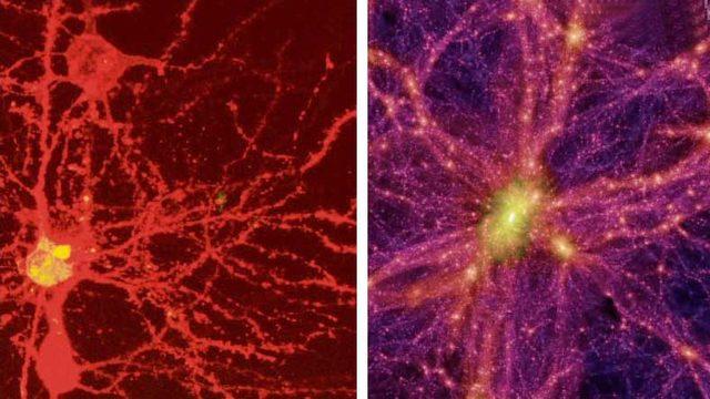 İnsan Beyni ile Evrenin Haritasının Birbiriyle Olan Ürkütücü Boyuttaki Benzerliği