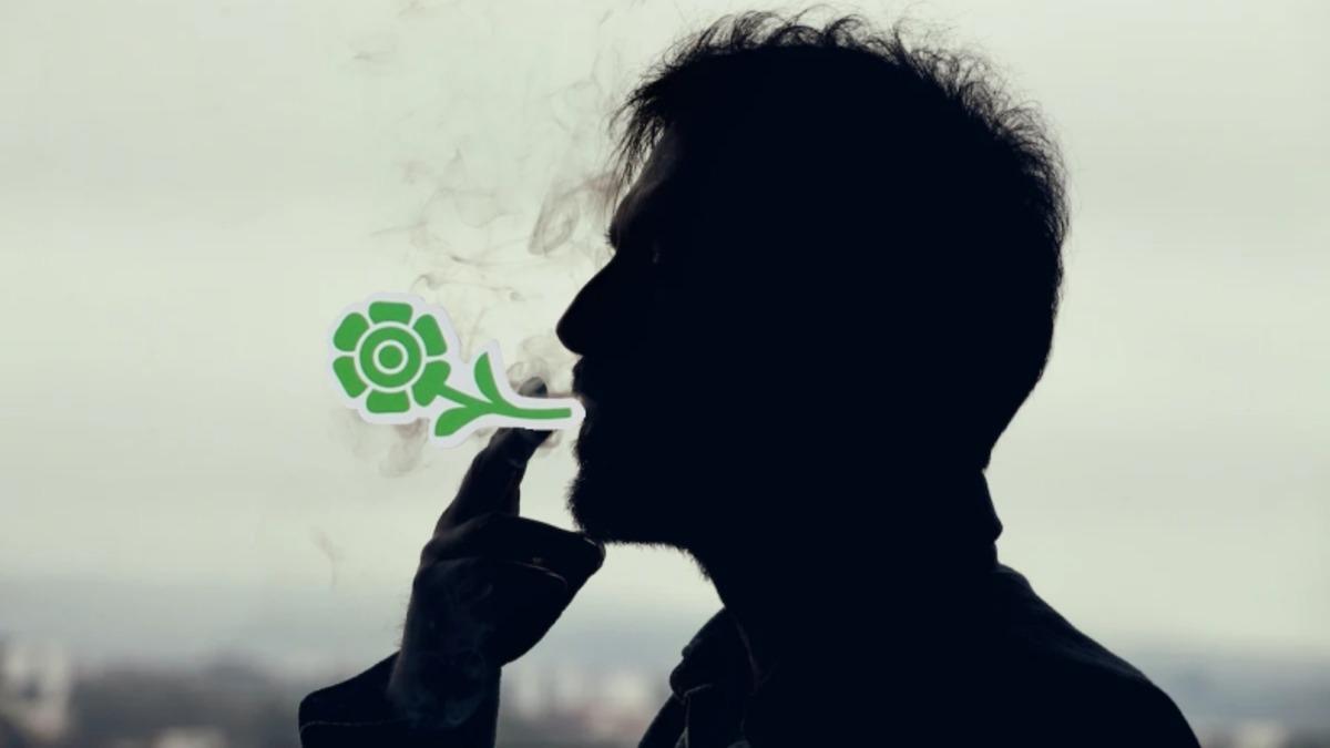 Sigaranın Yalnızca İçene Değil, Doğmamış Torunlarına Bile Zarar Verdiği Keşfedildi