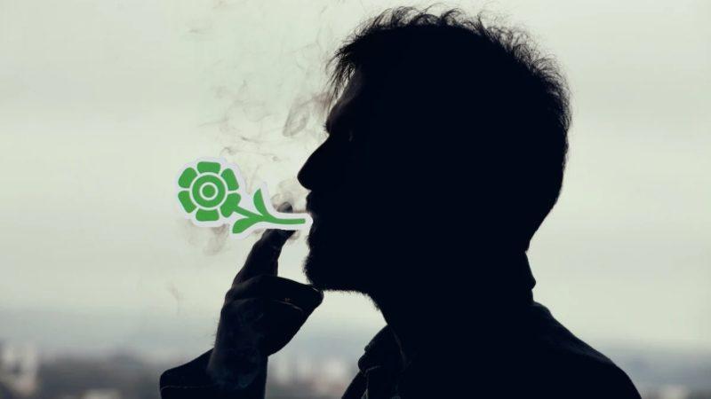 Sigaranın Yalnızca İçene Değil, Doğmamış Torunlarına Bile Zarar Verdiği Keşfedildi